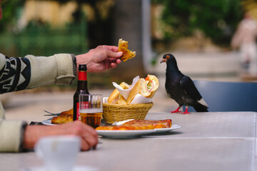 pigeons on the table