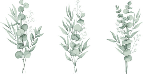 Elegant Watercolor Eucalyptus Leaf Bouquets Botanical Illustration Set on White Background