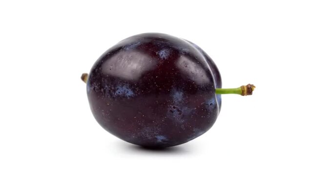 A single ripe plum with a white background, studio shot, close-up view
