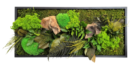 Vertical garden, moss and fern wall frame, wall art, wall panel decoration