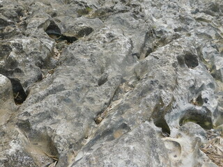 texture of limestone river bank
