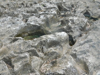 texture of limestone river bank