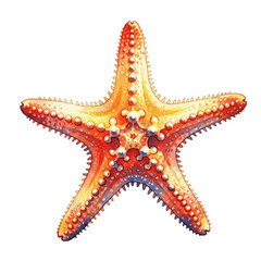 Watercolor Orange Starfish with Textured Surface isolated on a transparent background