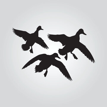mallard flying Duck Hunting vector design silhouette modern logo Decal 