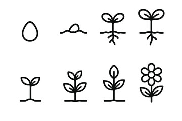 Plant Growth Icons. Plant development cycle linear set: dry seed, planted seed, first root, cotyledon sprout, early leaf pair, growing stem, forming bud, mature flower.