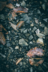 A close up of gravel with dry leaves texture pattern
