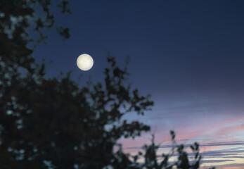 Full moon at sunrise or sunset