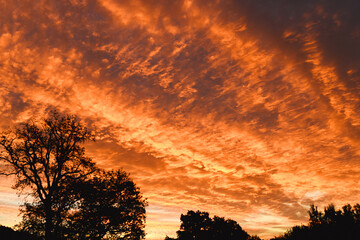 Magnificent sunrise over the forest