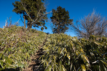Climbing Mount Tonodake and Tanzawa, Kanagawa, Japan