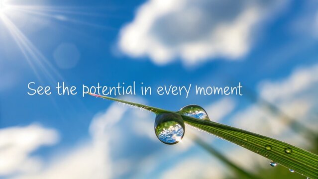 Dew drops reflecting sky on blades of grass - Powered by Adobe