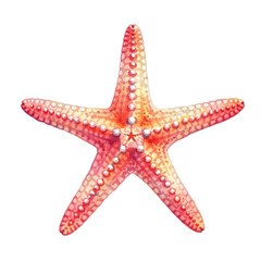 Watercolor Starfish with Pink and Yellow Hues isolated on a transparent background