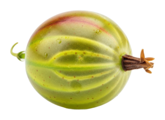 Fresh green gooseberry harvest nature garden fruit isolated on transparent background