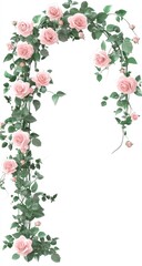 Soft Pink Roses and Green Leaves Forming a Decorative Floral Arch on a White Background