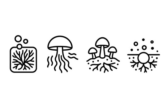 Mycoremediation Icon Set. Mycoremediation Processes linear set: pollutant-binding mycelium pad, degradation enzyme plume, soil-cleanse node.
