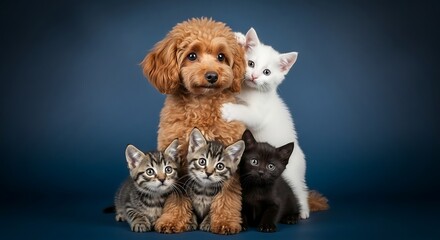 Obraz premium Adorable Fluffy Dog and Four Playful Kittens Posed Together in Studio Portrait.