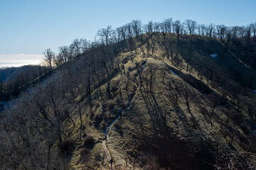 Climbing Mount Tonodake and Tanzawa, Kanagawa, Japan