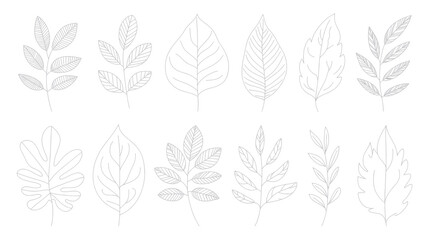 Assortment of subtle white botanical leaf shapes arranged in two rows against a white background for natural design.