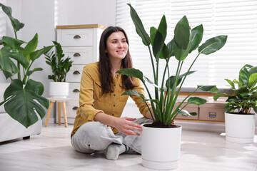 Woman with different potted houseplants on floor at home