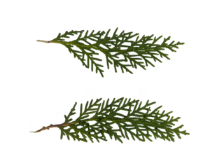 Happy woman holding shopping bags with hearts on them