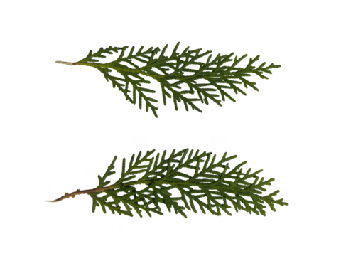 Happy woman holding shopping bags with hearts on them - Powered by Adobe