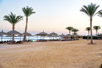 Sand beach with palm trees, umbrellas, and loungers during early morning near the ocean