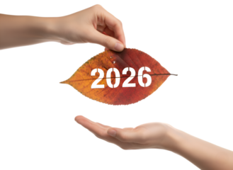 Symbolic 2026 Year Transition: Hands Presenting Autumn Leaf with Digits on white background Isolated on Transparent Background