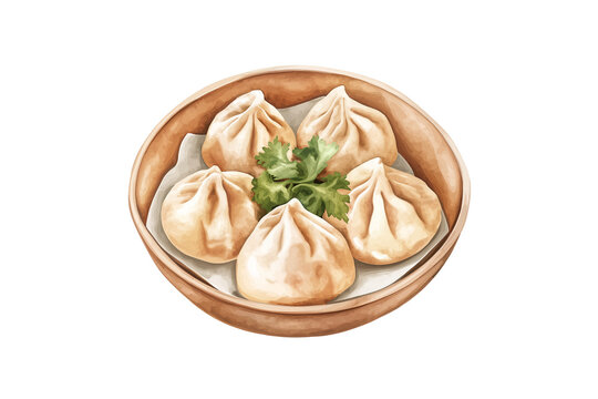 Himalayan Momos Dumpling Watercolor Vector Isolated on Transparent Background