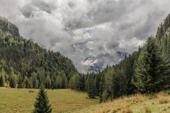 vista panoramica di un ambiente naturale tra i boschi, i prati e le montagne italiane, in alta quota, della regione Friuli Venezia Giulia, di giorno, a inizio autunno, con cielo nuvoloso