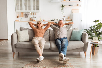 Two cheerful seniors enjoy their time together on a comfortable sofa. They are relaxing in a...