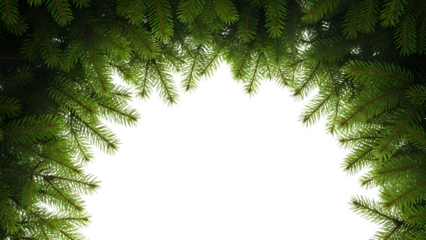 Dramatic silhouette of a coniferous tree against a vibrant green forest backdrop isolated on transparent background