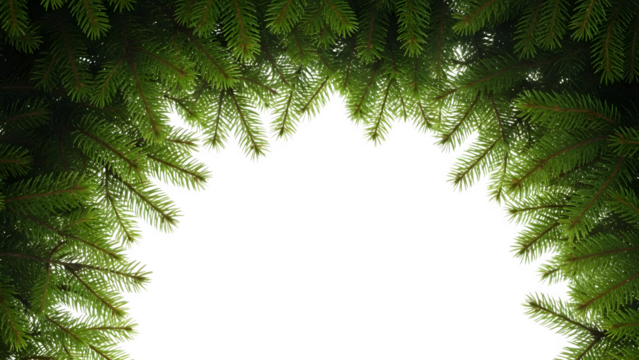 Dramatic silhouette of a coniferous tree against a vibrant green forest backdrop isolated on transparent background - Powered by Adobe