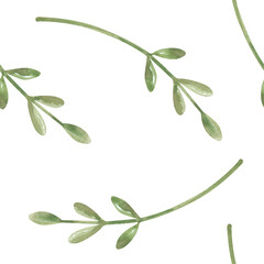 Seamless pattern with thin green twigs on an isolated background. A botanical ornament with leaves of natural flowers. Minimalistic seamless background for wrapping paper, wallpaper, textiles