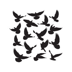Dove Silhouettes Collection,Doves Silhouettes,Vector Dove Silhouettes,Peace Dove Silhouettes,dove vector