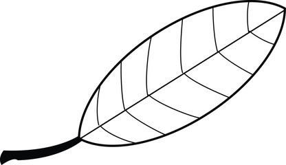Simple line art drawing of a single botanical leaf with prominent venation design element vector graphic. isolated on transparent background, Vector