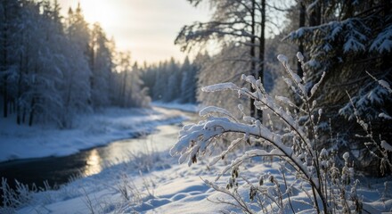 Sunlight illuminates fresh snow clinging to delicate branches beside a partially frozen waterway winding through a dense forest.