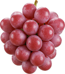 포도 과일 열매