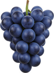 포도 과일 열매