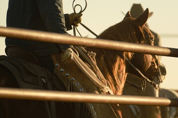 Western lifestyle image of cowboy riding horse closeup on ranch.