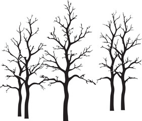 Leafless winter tree silhouettes in a natural forest scene for seasonal design use
