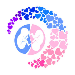 it's twins! Multiple pregnancy. Monozygotic twins (embryos). Design element for pregnancy theme. Maternity, motherhood, baby.  Baby Desire.  Fetus.  Vector illustration