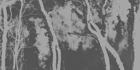 Obraz premium abstract grunge background. Forest, Leaves, Trees and clouds background