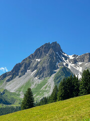 French alpine meadow and Snowy Peak in the Summertime 