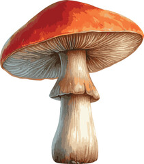 Vector watercolor painted illustration of a brown mushroom