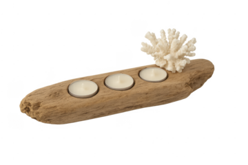Driftwood candle holder with tealights and white coral