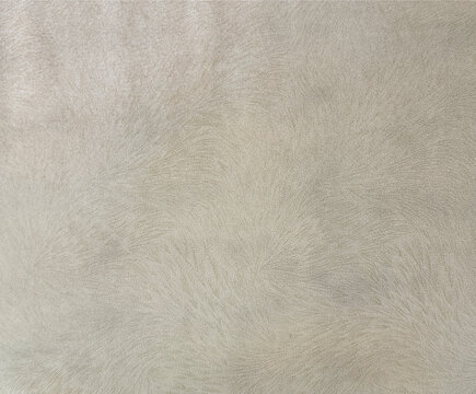 Cement light concrete grey textured paint washed on a wall or panel, in random lime washed pattern. Seamless background texture.