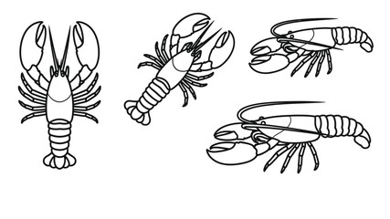 Obraz premium Black and white sketch illustrations of various lobster poses and details