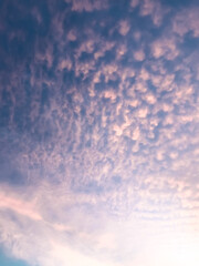 Scenic Mackerel Sky with Pink Sunset Hues
