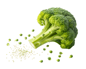 Fresh broccoli florets and tiny green buds scattered on a white surface, perfect for healthy eating and culinary inspiration visuals