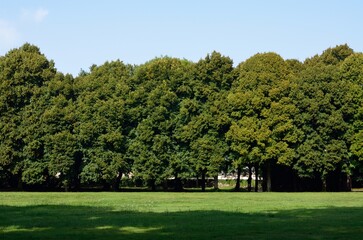 Fototapeta premium Jardines del castillo de Combourg, Ille-et-Vilaine, Bretaña, Francia