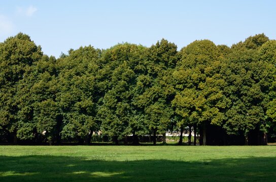 Jardines del castillo de Combourg, Ille-et-Vilaine, Breta&ntilde;a, Francia